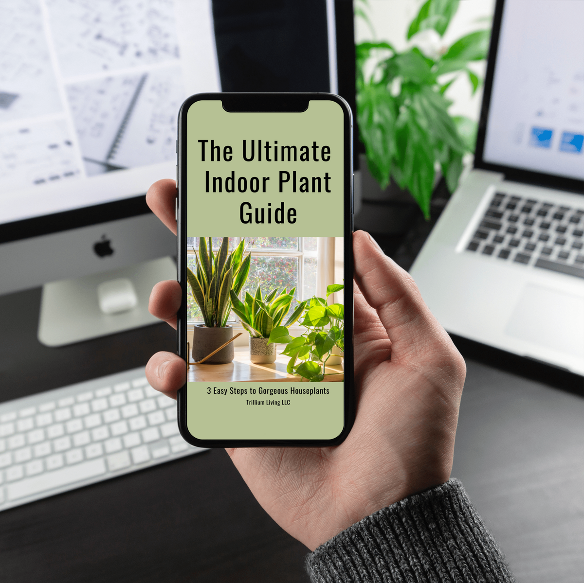 house plants book pdf The Ultimate Indoor Plant Care Guide, PDF Digital Download eBook – Trillium  Living
