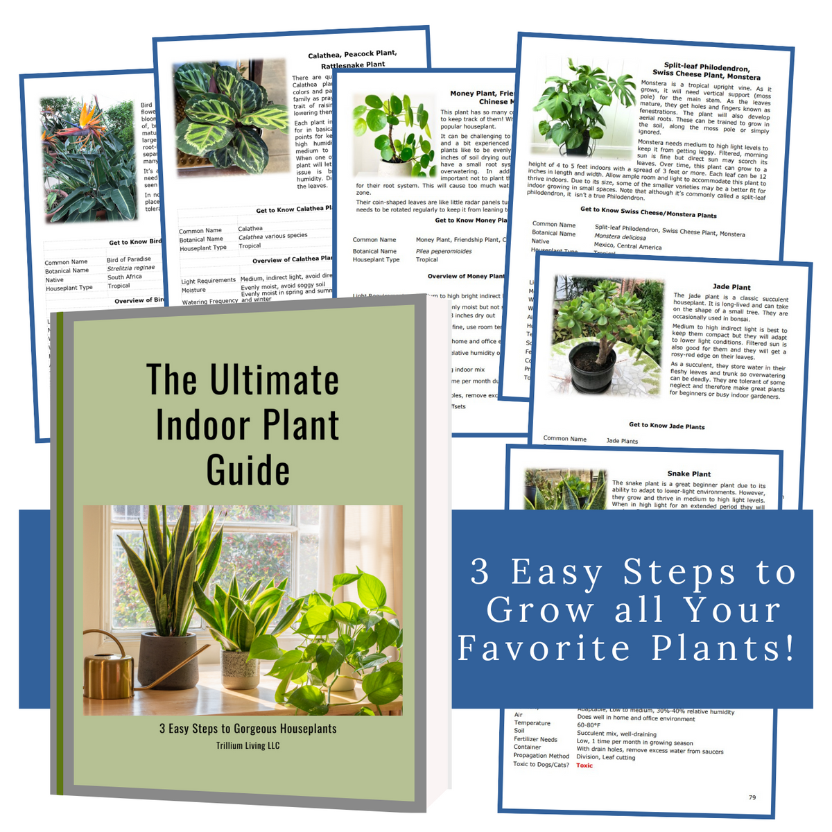 best indoor plant care book The Ultimate Indoor Plant Guide- Paperback Book, FREE SHIPPING (U.S.) – Trillium Living