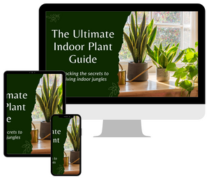 The Ultimate Indoor Plant Care Guide, PDF Digital Download eBook