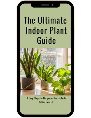 The Ultimate Indoor Plant Care Guide, PDF Digital Download eBook