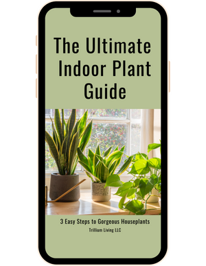 indoor plant care guide The Ultimate Indoor Plant Care Guide, PDF Digital Download eBook – Trillium Living