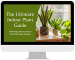 The Ultimate Indoor Plant Care Guide, PDF Digital Download eBook