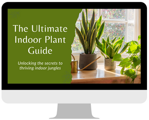 indoor plant care instructions The Ultimate Indoor Plant Care Guide, PDF Digital Download eBook – Trillium Living