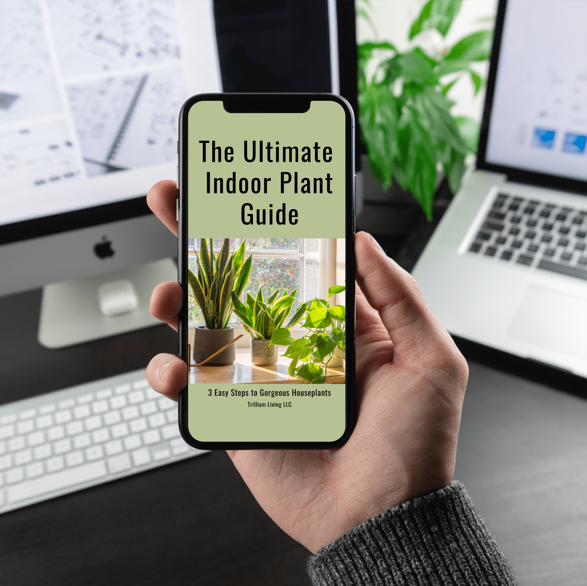 The Ultimate Indoor Plant Care Guide, PDF Digital Download eBook