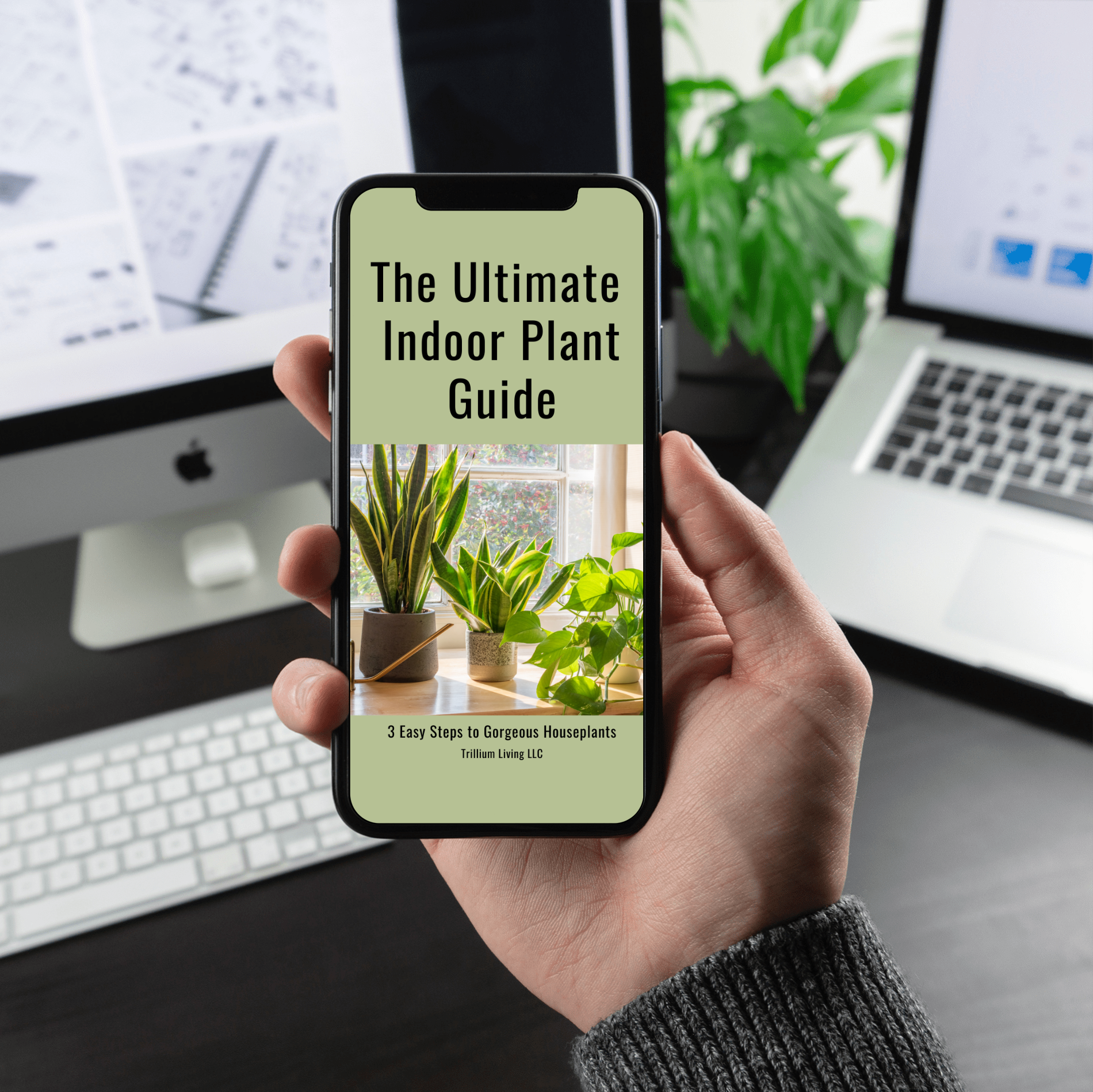 indoor plants book pdf The Ultimate Indoor Plant Care Guide, PDF Digital Download eBook – Trillium Living