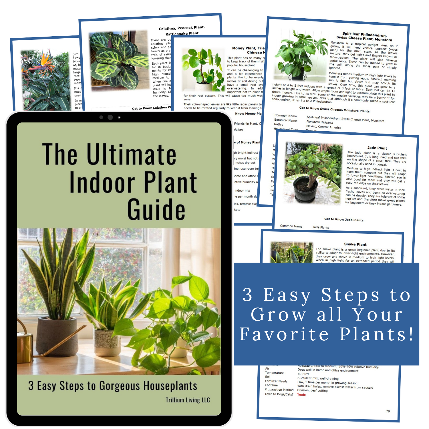 The Ultimate Indoor Plant Care Guide, PDF Digital Download eBook