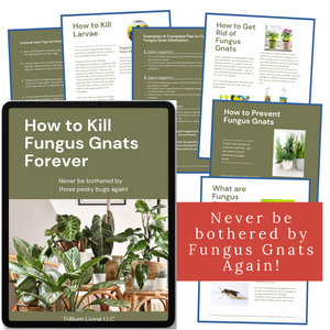 How to Kill Fungus Gnats Forever