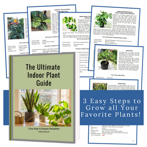 The Ultimate Indoor Plant Guide- Paperback Book