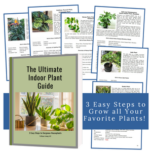beginners guide to indoor plants The Ultimate Indoor Plant Guide- Paperback Book, FREE SHIPPING (U.S.) – Trillium Living