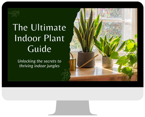 The Ultimate Indoor Plant Care Guide, PDF Digital Download eBook