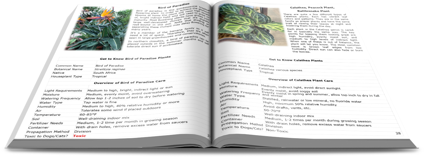 The Ultimate Indoor Plant Guide- Paperback Book