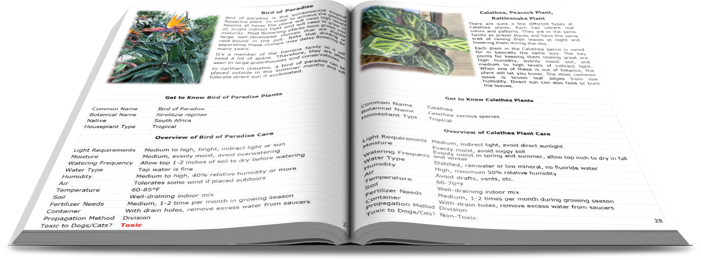 urban botanics an indoor plant guide for modern gardeners The Ultimate Indoor Plant Guide- Paperback Book, FREE SHIPPING (U.S.) – Trillium Living