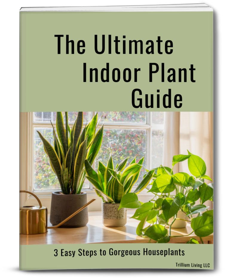 indoor plants details The Ultimate Indoor Plant Guide- Paperback Book, FREE SHIPPING (U.S.) – Trillium Living