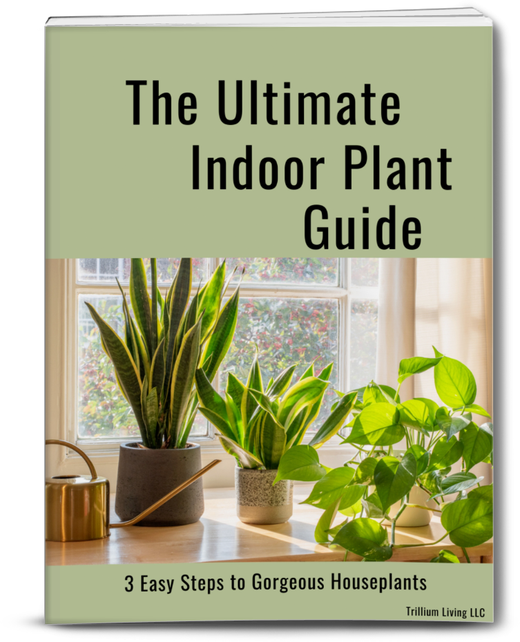 The Ultimate Indoor Plant Guide- Paperback Book
