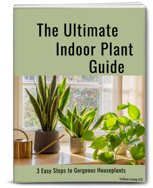indoor plant books The Ultimate Indoor Plant Guide- Paperback Book, FREE SHIPPING (U.S.) – Trillium Living