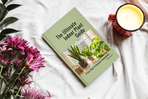 The Ultimate Indoor Plant Guide- Paperback Book