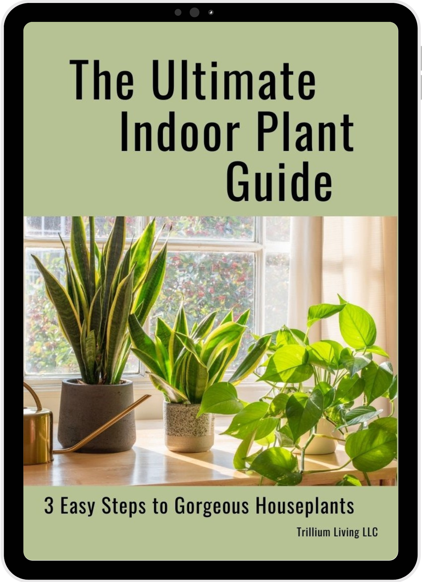 best website for indoor plant care The Ultimate Indoor Plant Care Guide, PDF Digital Download eBook – Trillium Living