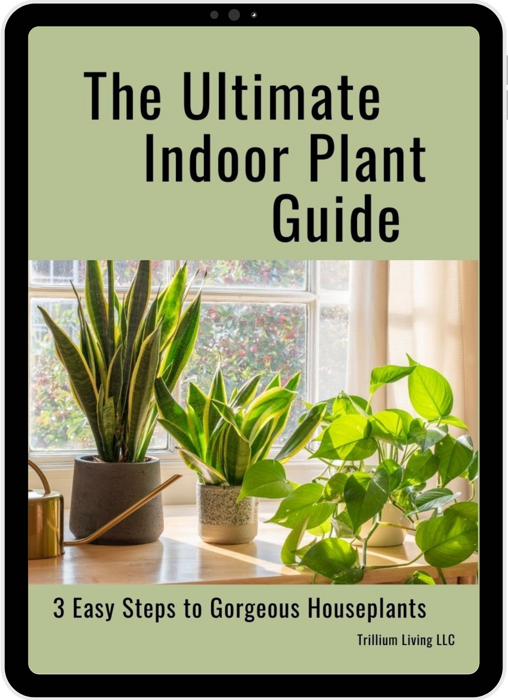 The Ultimate Indoor Plant Care Guide, PDF Digital Download eBook