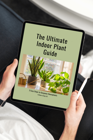 The Ultimate Indoor Plant Care Guide, PDF Digital Download eBook