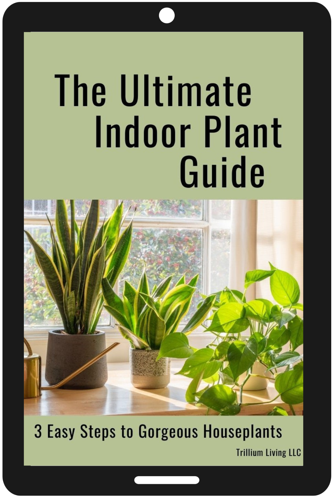 The Ultimate Indoor Plant Care Guide, PDF Digital Download eBook