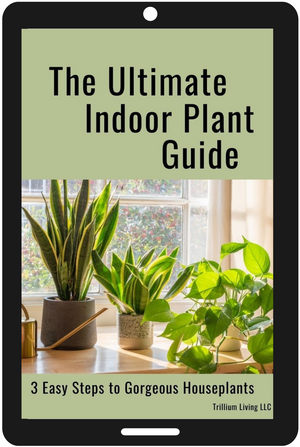 indoor plant fcs guide The Ultimate Indoor Plant Care Guide, PDF Digital Download eBook – Trillium Living