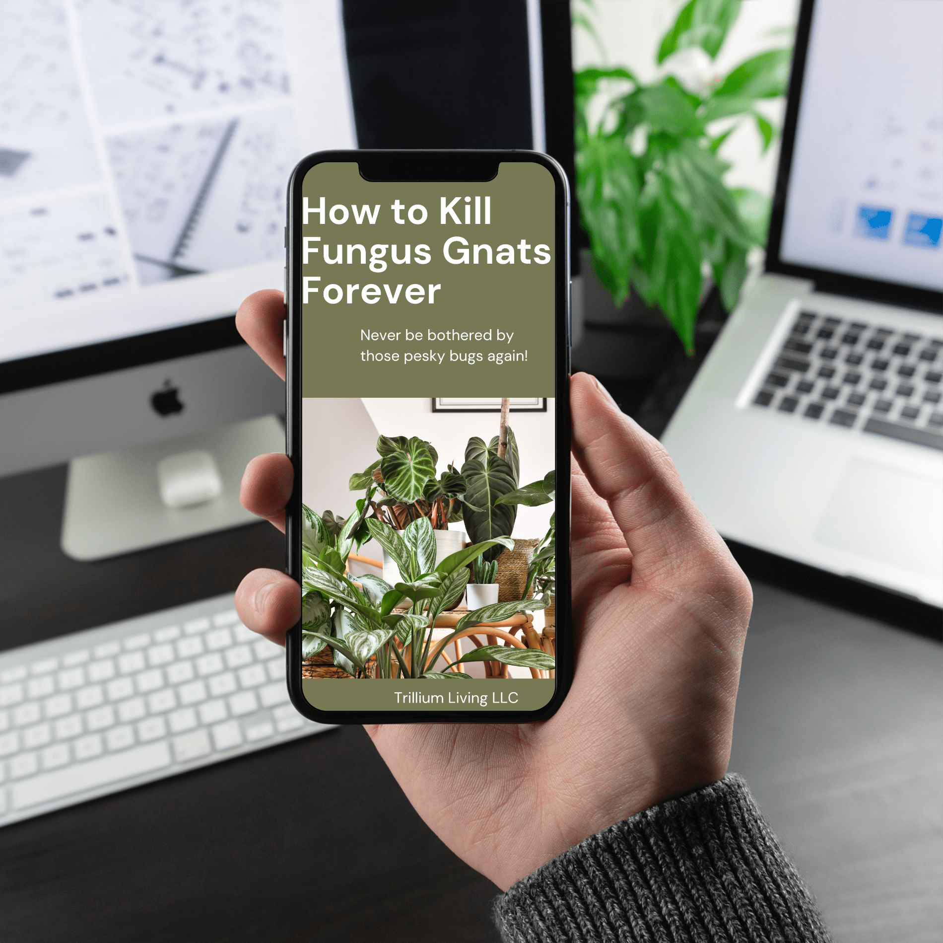 How to Kill Fungus Gnats Forever