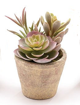 Artificial succulents in a clay pot