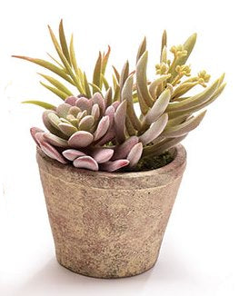 Artificial succulents in a clay pot