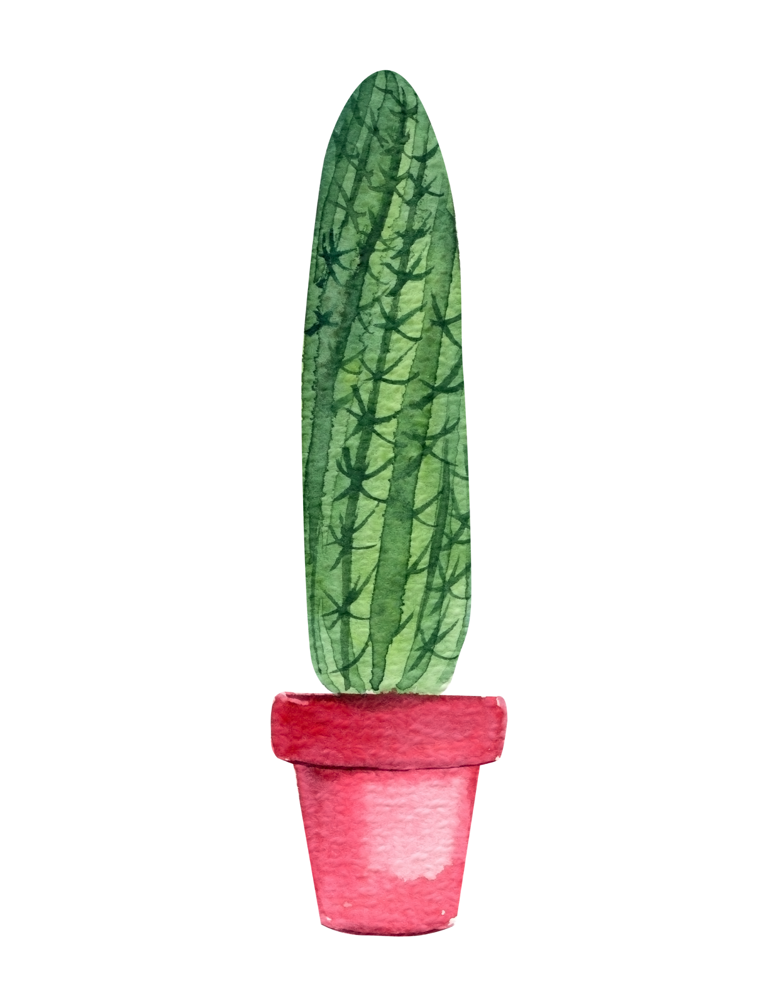 Cacti Watercolor Wall Art- Set of 4, Printable Digital Download, No Shipping