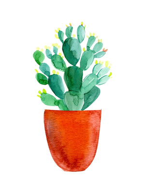 watercolor cactus succulent Succulent and Cacti Watercolor Wall Art- Set of 8, Printable Digital D – Trillium Living