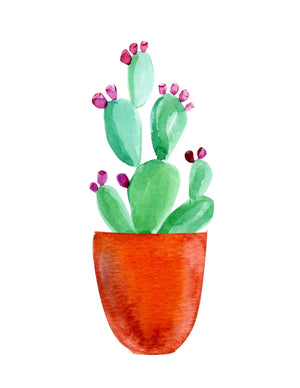 Succulent and Cacti Watercolor Wall Art- Set of 8, Printable Digital Download, No Shipping
