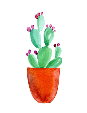 watercolor succulent printable Succulent and Cacti Watercolor Wall Art- Set of 8, Printable Digital D – Trillium Living