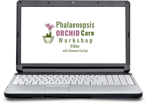 Phalaenopsis Orchid Care Workshop Video